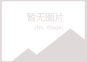 松潘县冰夏水泥有限公司